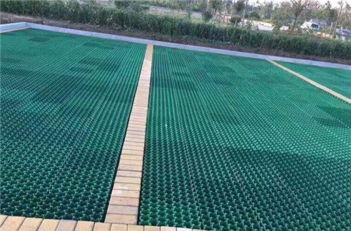 公路護坡植草格
